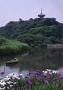 三溪園